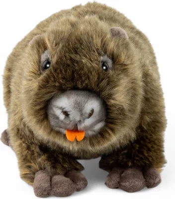 Produktbild von Carl Dick Biberratte, Nutria ca. 25cm, Plüschtier, Stofftier, Kuscheltier 3746