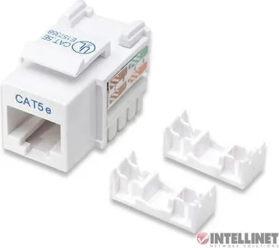 Obrázek produktu pro Intellinet 210355, Plochý, Bílá, RJ-45, Samice, 22/26, Cat5e
