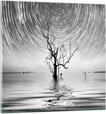 Produktbild von Bilder auf glas - Einteilig - Schwarzweiß Baum See - 60x60cm - Glasbilder - Wandbilder - Bilder - zum Aufhängen bereit - Wanddekoration aus Glas - Glas Bilder - Wandbild auf Glas - GAC60x60-4253