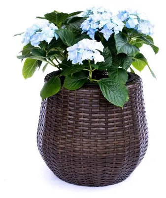 Produktbild von Elegant Einrichten | Pflanzkübel | Polyrattan | rund konisch | D52xH44cm | mocca