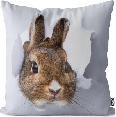 Produktbild von VOID Hase Häschen Tier Ostern Kissenbezug Kissenhülle Polyester wasserfest Outdoor Indoor