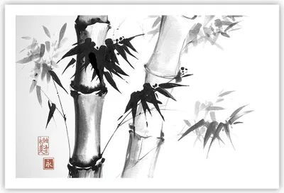 Produktbild von Poster - Poster ohne Rahmen - Asiatisch Aquarell Bambus - 91,5x61 cm - Wand Bild - Wanddeko - Wandbilder - Kunstposter - Wandposter - Bilder - Kunstdruck - Wanddekoration - Wandbild - P2XAA91x61-4577