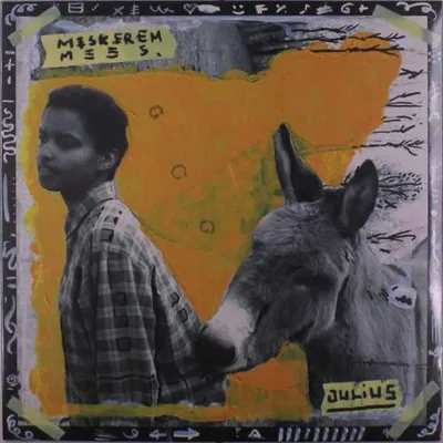 Produktbild von Meskerem Mees: Julius - - (Vinyl / Pop (Vinyl))