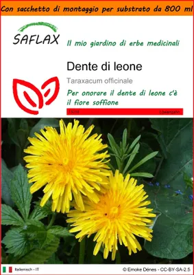 Immagine prodotto di SAFLAX Garden in the bag - Dente di leone - 200 semi - Taraxacum