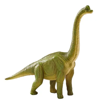 Image de Mojo Préhistoire - Brachiosaurus - 387212