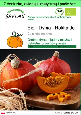 Zdjęcie produktu dla SAFLAX - Garden to go - Bio - Dynia - Hokkaido - 5 Nasiona - Z doniczką, pokrywą klimatyczną i podłożem do uprawy - Cucurbita maxima