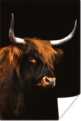 Produktbild von MuchoWow® Poster Schottisches Hochlandrind - Schwarz - Fell 120x180 cm - Kunstposter