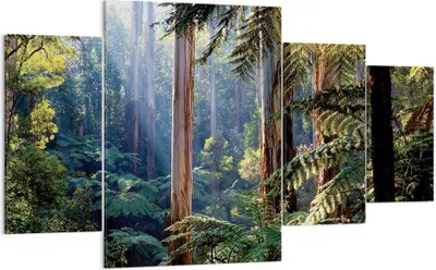 Produktbild von Bild auf Leinwand - Leinwandbild - 4 Teile - Morgendämmerung Bäume Wald - 160x90cm - Wand Bild - Wanddeko - Wandbilder - Leinwanddruck - Bilder - Wanddekoration - Leinwand bilder - DL160x90-4403
