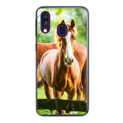 Produktbild von MuchoWow® Handyhülle Schutzhülle Hülle für Samsung Galaxy A40 Pferde - Licht - Wiese Silikon Softcase Handy Hülle - Handy-Tasche