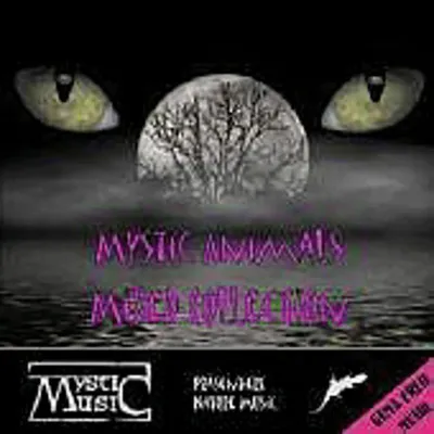 Immagine prodotto di Mystic-Music, raccolta di brani, 1 CD audio
