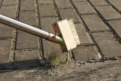 Obrázek produktu pro 1524 cm dlouhý ruční kartáč na plevel a hubení plevele, odstraňovač mechu z nerezové oceli s rukojetí na čištění terasových desek a dlažebních kostek