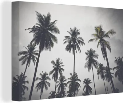 Obrázek produktu pro OneMillionCanvasses® Malba na plátně Nástěnná malba na plátně - Palma - Tropické - Příroda - 150x100cm