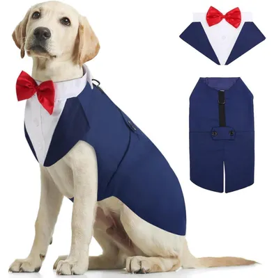 Produktbild von Hunde Smoking Anzug & Bandana Set Blau S-XXL
