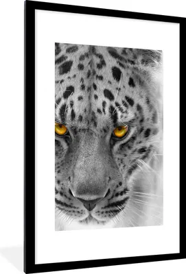 Produktbild von MuchoWow® Gerahmtes Poster Leopard - Schwarz - Weiß - Gelb 60x90 cm - Poster mit Schwarzem Bilderrahmen Wandposter Rahmen Foto Bilder - Dekoration - Wandposter Wohnzimmer - Hochwertig