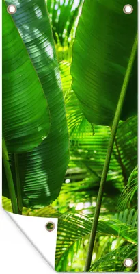 Produktbild von MuchoWow® 40x80 cm Outdoor-Poster Gartendeko Sichtschutz Garten Poster für den Garten  Tropische Blätter im Dschungel Fotodruck
