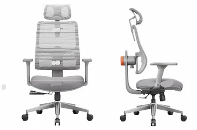 Immagine prodotto di Sedia da ufficio ergonomica, grigia - Schienale alto con supporto lombare automatico e braccioli 3D