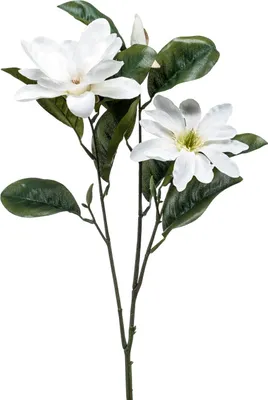Produktbild von artplants.de Künstliche Magnolie BEGUR, weiß, 80cm - Deko Magnolie/Plastik Blume