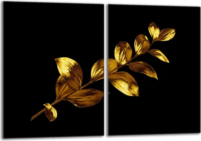 Produktbild von Glasschutzplatte für Herd 2x40x52 Gold
