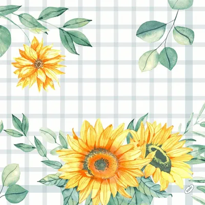Produktbild von Duni Klassik Servietten Sunflower day 40x40cm 4 lagig 50er