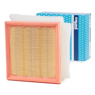 Image de Filtre à air PURFLUX