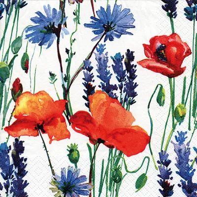 Produktbild von Servietten Papier 33x33cm 3-lagig Mohnblumen & Kornblumen 20 Stück