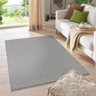 Zdjęcie produktu dla Dywan Homebyhome do salonu, krótkowłosy, jednolity wzór, łatwy w pielęgnacji i nowoczesny, do sypialni i przedpokoju, wymiary: 240 x 340 cm