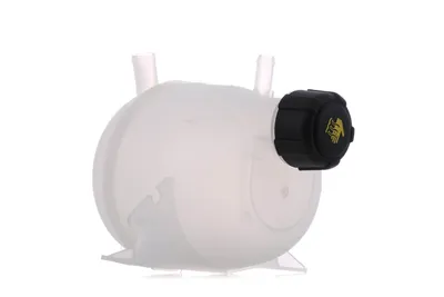 Produktbild von MEYLE Ausgleichsbehälter Kühlmittel für RENAULT CLIO II (BB0/1/2, CB0/1/2) Kühlwasser 16-14 223 0000