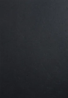 Produktbild von Einbanddeckel Karton mit Lederprägung A4 schwarz Exacompta Forever 150 Blatt