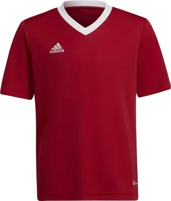 Immagine prodotto di Adidas Magliette Entrada 22 Jsy, H57496, Taglia: 159