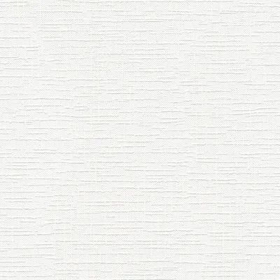Obrázok produktu pre A.S. Création MV ProProtect2 250513