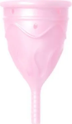 Produktbild von Femintimate - Eve Silikon-Menstruationstasche - Grösse S