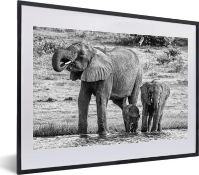 Produktbild von MuchoWow® MuchoWow® Gerahmtes Poster Elefant - Wasser - Tiere - Schwarz - Weiß 60x40 cm - Poster mit zchwarzem Bilderrahmen - Schlafzimmer - Plakat in Rahmen - Drucken