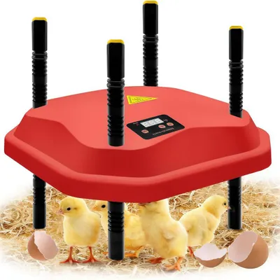 Produktbild von Küken Wärmeplatte,Kükenheizplatte,Küken-Wärmeplatte Comfort,25x25 cm I 220V I Wärmeplatte mit Verstellbarer Höhe und Winkel, mit temperturregler
