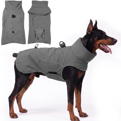 Image de Veste d'hiver pour chiens avec laisse