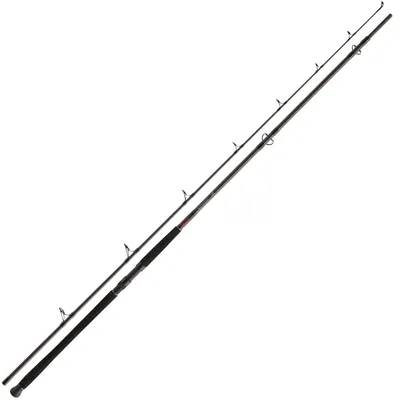 Immagine prodotto di DAIWA Exceler Boa per pesce gatto, 3m, 9.84ft, 200-600g, 2 pezzi, canna da pesca per pesce gatto, 11818-306