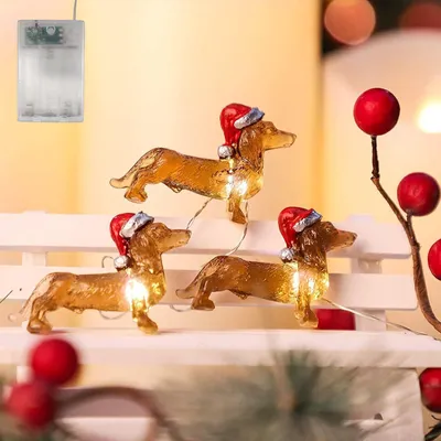 Teckel LED Lichterkette, 30 Mini-Lampen, 3 m, batteriebetrieben