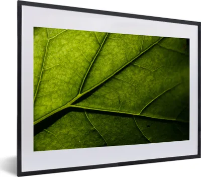 Produktbild von MuchoWow® MuchoWow® Gerahmtes Poster Nahaufnahme eines Blattes 40x30 cm - Poster mit zchwarzem Bilderrahmen - Bilderrahmen - Poster im Rahmen