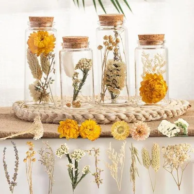 Productafbeelding van Famanu Decoratieve gedroogde bloemen in glazen reageerbuizen - Boho decoratieset van 4