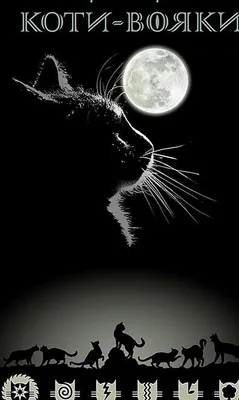 Produktbild von Wojownicy. Misja ognistej gwiazdy - Erin Hunter