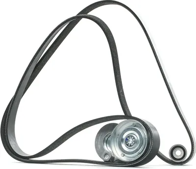 Produktbild von RIDEX 542R0455 Keilrippenriemensatz für RENAULT LAGUNA II (BG0/1)