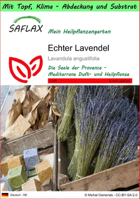 Produktbild von SAFLAX Garden to go - Echter Lavendel - Lavandula angustifolia - 150 Samen - Mit Topf, Klima - Deckel und Anzuchtsubstrat