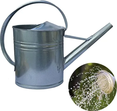 Produktbild von Zinkgießkanne Gießkanne 5L 8L 10L 12L Blumengießkanne Metall feuerverzinkt Zink Silber für Innen- und Außenbereich (12 L)