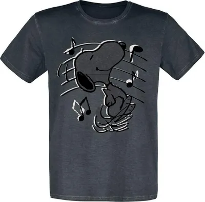 Produktbild von Peanuts T-Shirt Herren Snoopy Music schwarz XXL