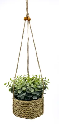 Immagine prodotto di Fiore pendente in vaso di seagrass, variante B