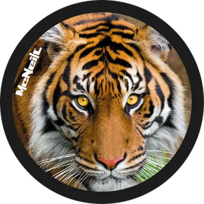 Produktbild von McNeill Schulranzen-Zubehör McAddy Tiger mehrfarbig