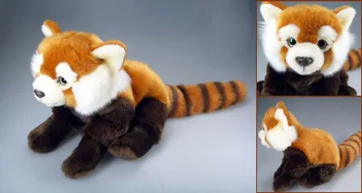 Immagine prodotto di panda rosso indiano circa 20 cm gatto orso peluche peluche