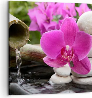 Produktbild von Bild auf Leinwand - Leinwandbild - Orchidee Bambus Dekoration Spa - 60x60cm - Wand Bild - Wanddeko - Leinwanddruck - Bilder - Kunstdruck - Wanddekoration - Leinwand bilder - Wandkunst - AC60x60-2666