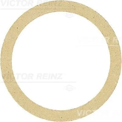 Produktbild von REINZ 71-34244-00 Auspuffdichtung Auspuffdichtung für OPEL Omega B Limousine (V94)