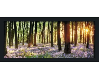 Produktbild von Gerahmtes Bild Forest 130x60 cm