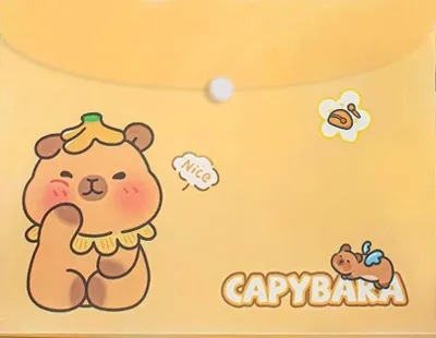 Obrázok produktu pre Teczka kopertowa Kapibara A4 na zatrzask